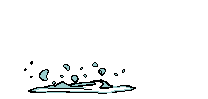 Fish jump