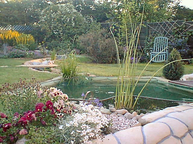 Frmal pond
