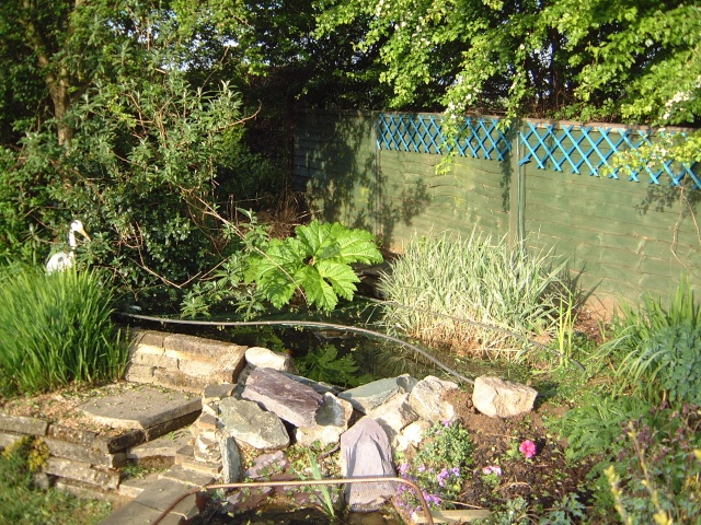 Top pond