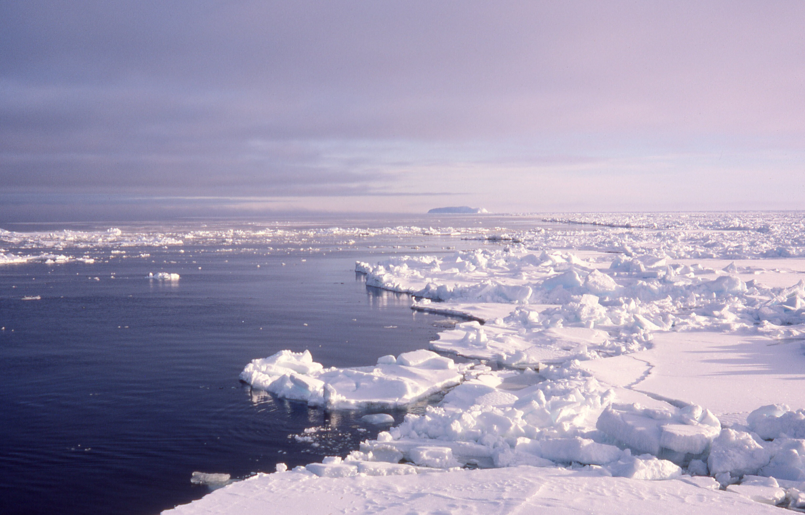 Холодный среди льдин. Арктические моря. Северный Ледовитый океан край. Северные воды. Изменение климата Арктики.